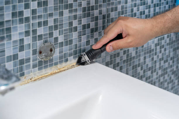 Best Mold Remediation for Specific Building Types in Lathrop, MO