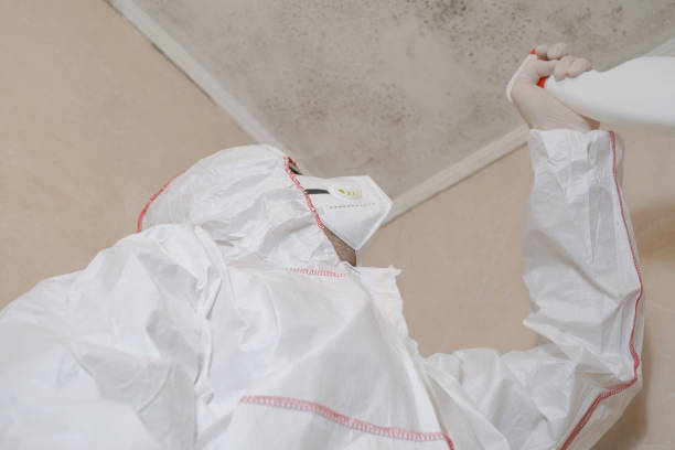 Best Mold Testing and Inspection Services in Lathrop, MO